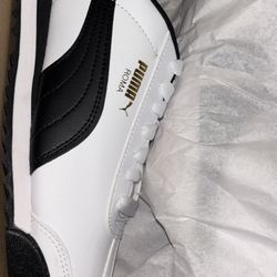 Men puma 