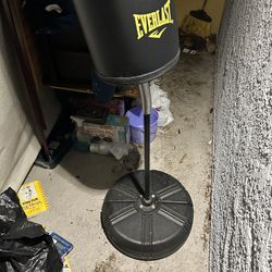 Standing Punching Bag