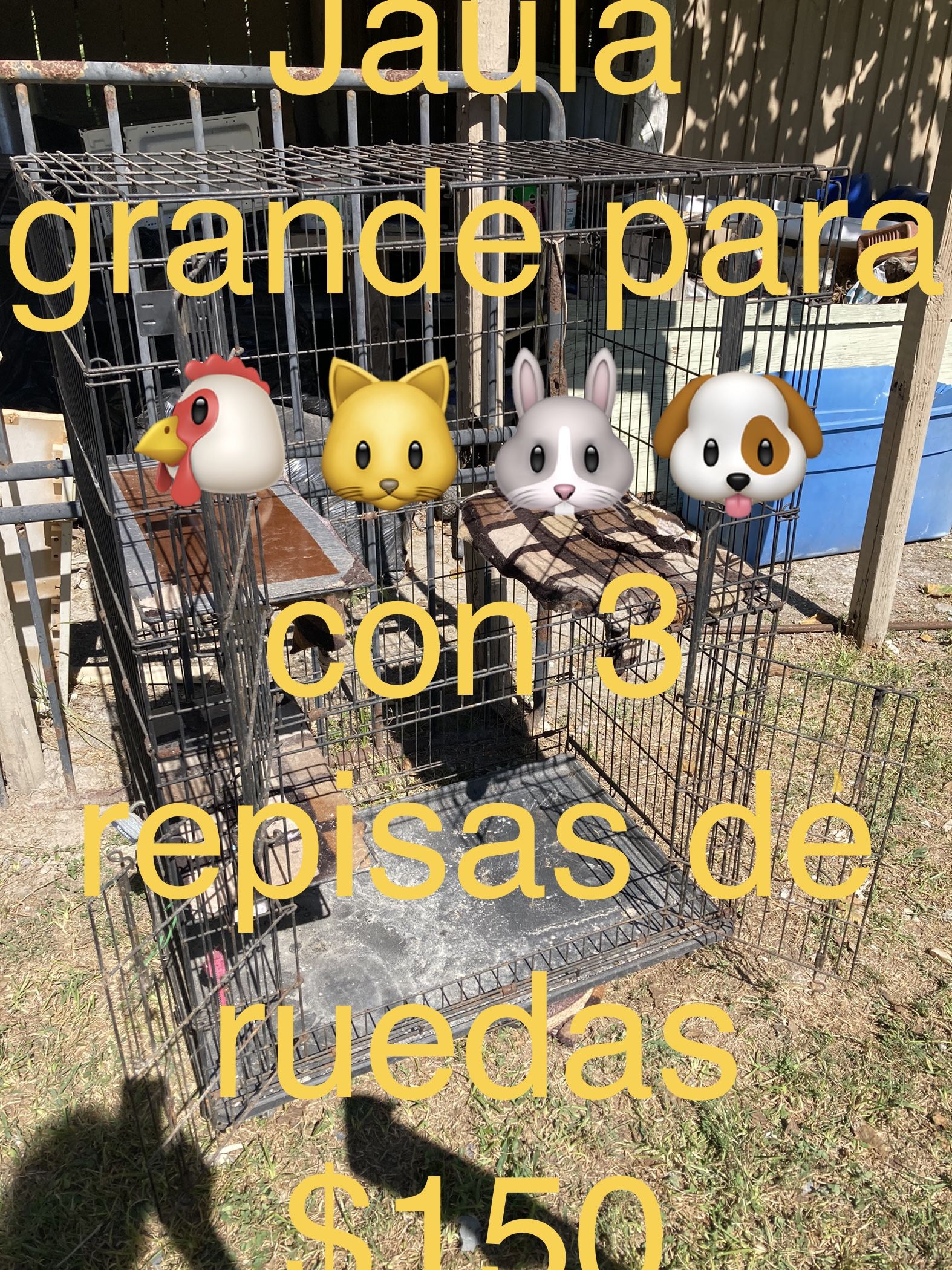 Jaula Pet carriers & Houses