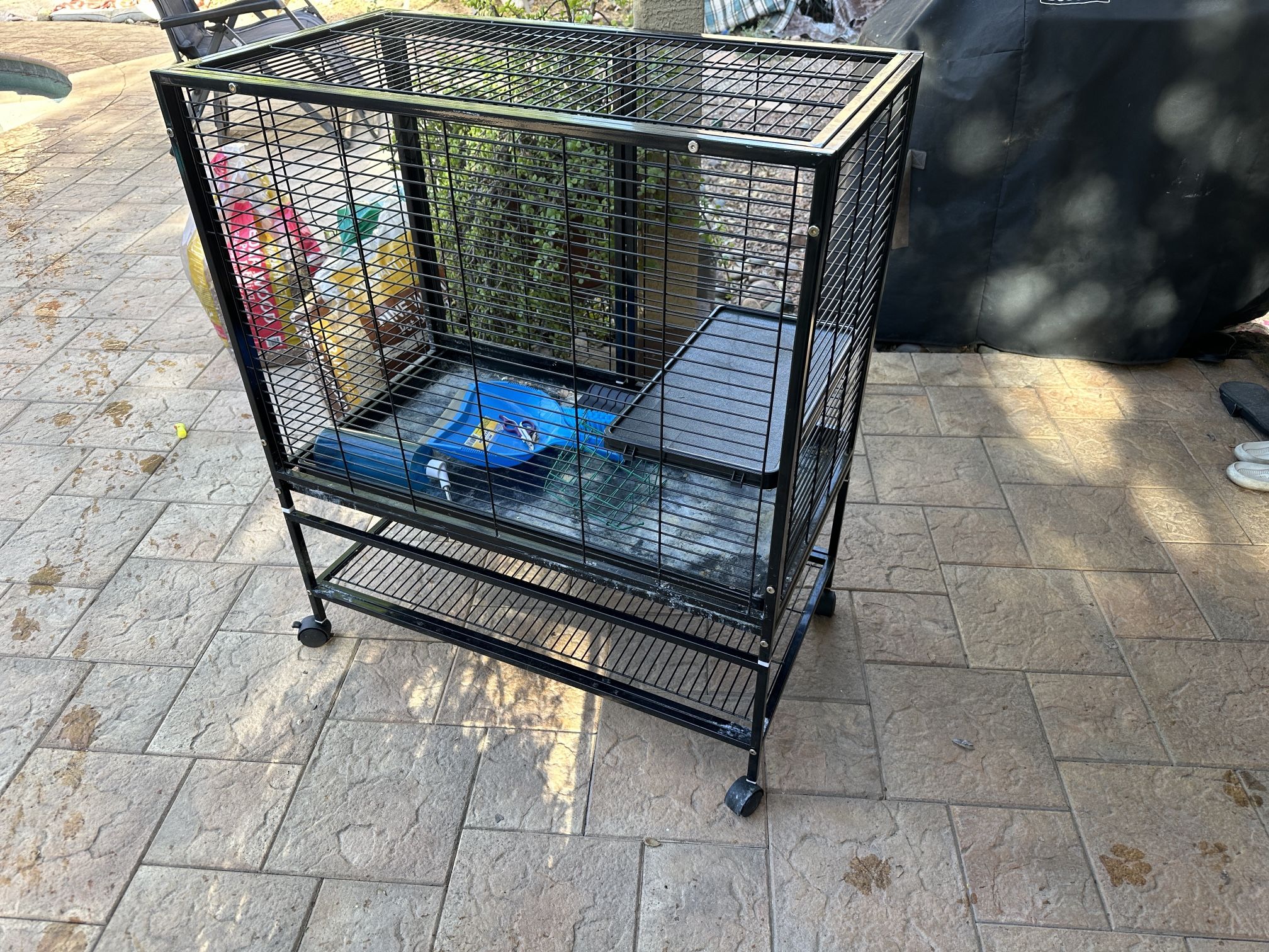 Guinea pig Cage , Bedding And Food And Assesories
