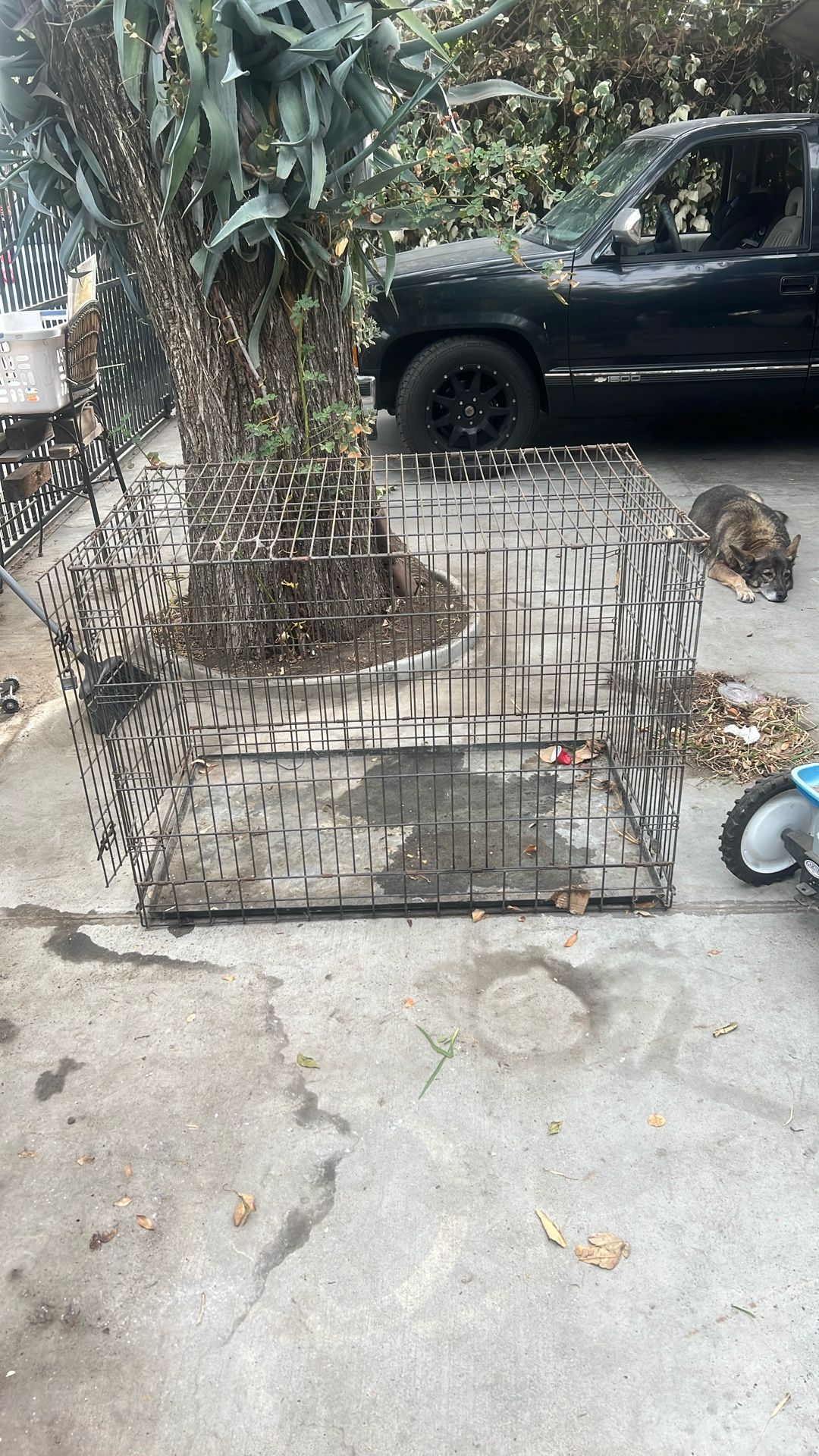 Large dog crate