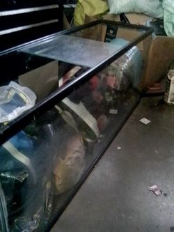 Fluval 300L. Complete Aquarium. $80