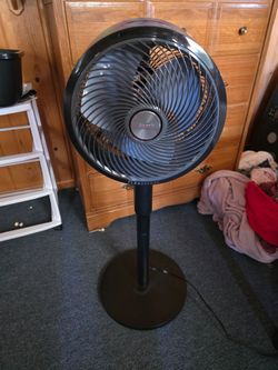 Shark Flex Fan