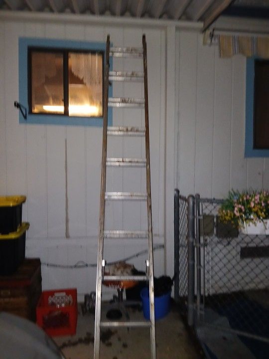 10ft Ladder