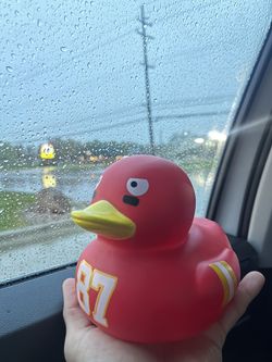 Travis kelce duck