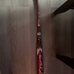cat x baseball bats