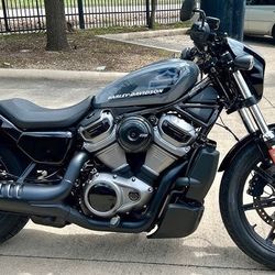 2022 Harley Davidson Nightster 