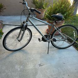 Schwinn Railway Bike