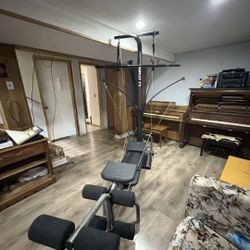 Bowflex XTL home gymwith 310 Ibs of Power Rods, Lat and Leg Attachment Included asking 250 pickup is in Allen 