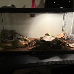 zoo med  40 gallon tank