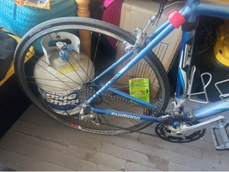 Full Carbon Trex bike