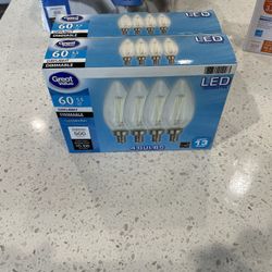 Light Bulbs
