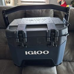 cooler igloo 