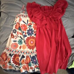 2 Mini Dresses
