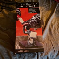 Steam Cleaning Grill Brush