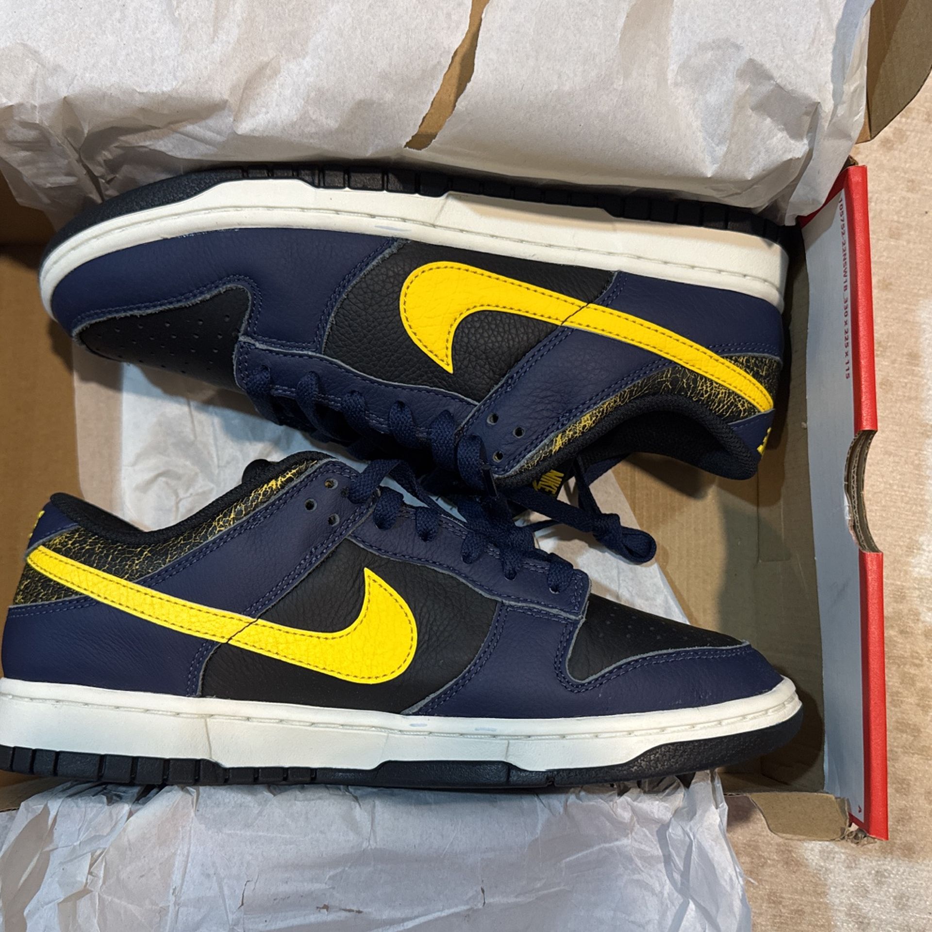 Nike Dunk Low Vintage Michigans 9.5