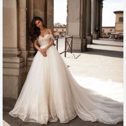 Wedding dress and Veil