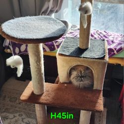 Cat Tree Condo (Do NOT send "Is It Available") (Miss Portabella NOT Included)