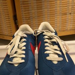 Shoe 