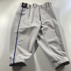 Mizuno Premier Adult Medium Baseball Pants Short Knickers Pant Gray Royal