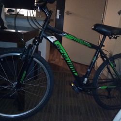 Schwinn Bike