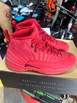 Air Jordan retro 12s shoes size 12