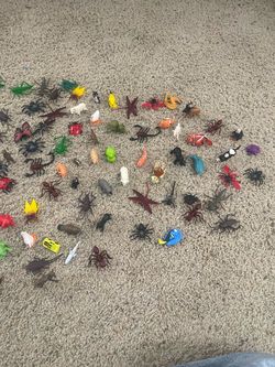 Pretend Insect toys  10$