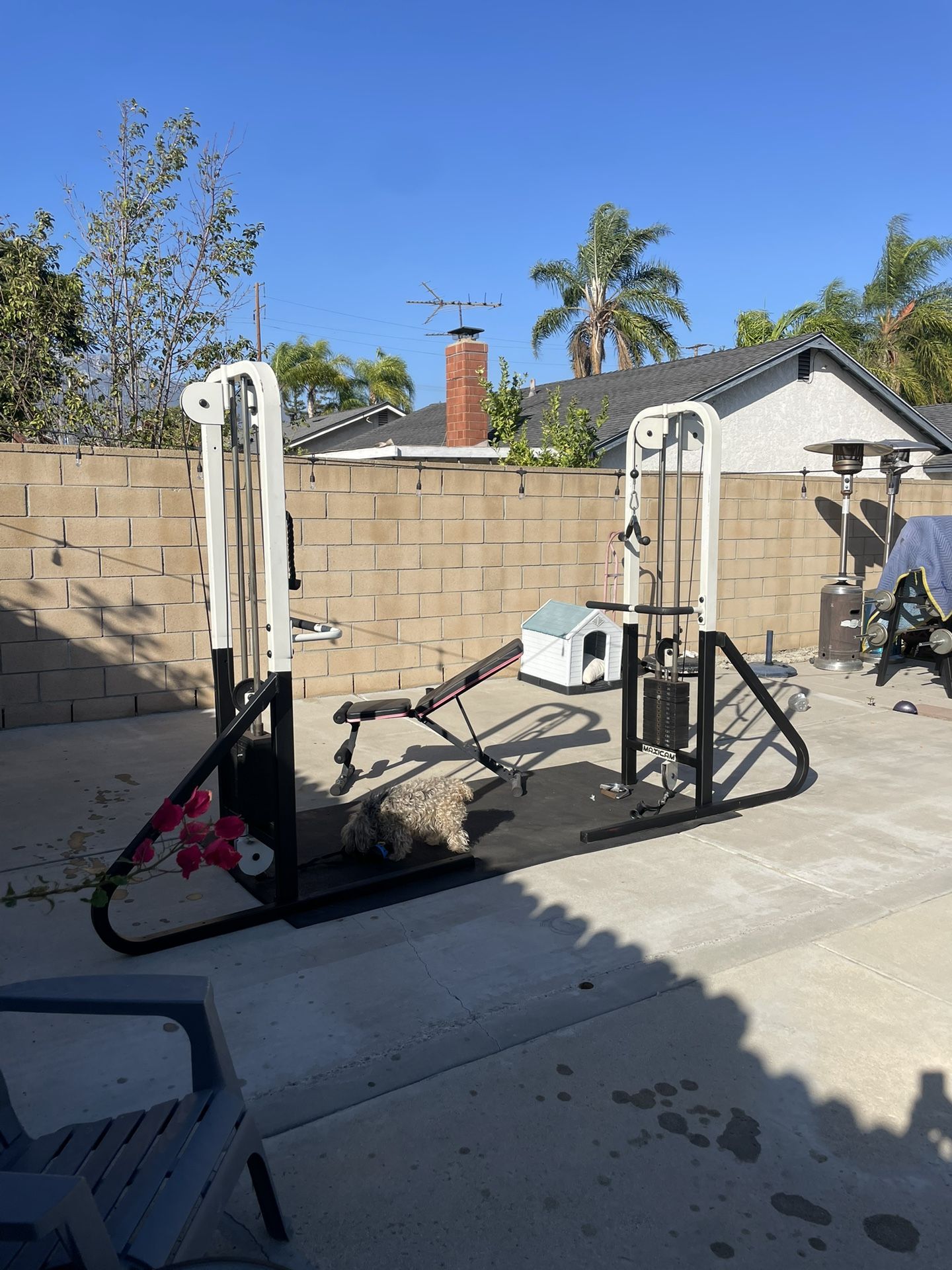 Gym Equipment For Sale
