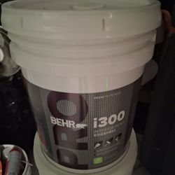 PRO BEHR 300