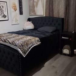 Queen Bedframe& Adjustable base