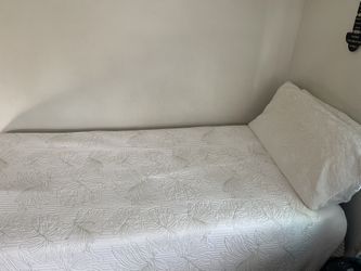 Metal Platform Twin Size Bed And Board