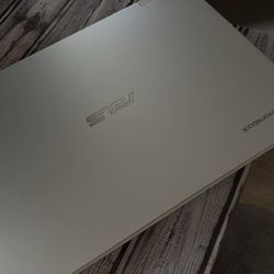 Asus 14” Chromebook
