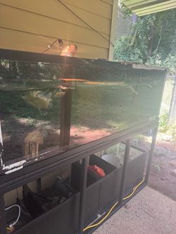 Fish tank