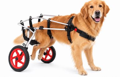 Best Friend Mobility Rear Support Dog Wheelchair L/XL New Never Used