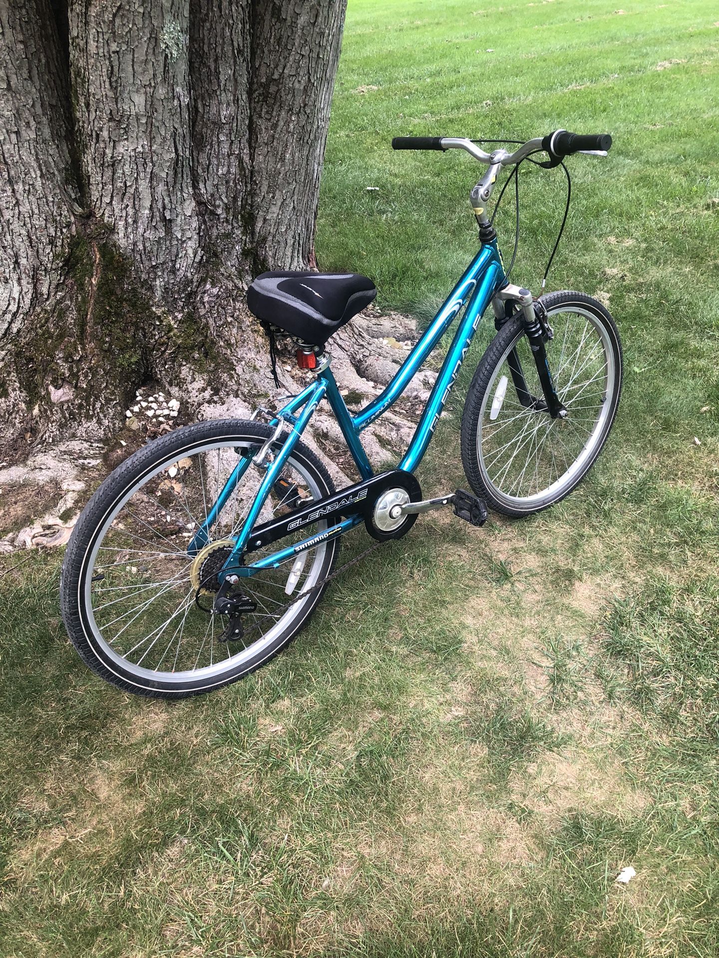 26” Cruiser Bike (7 Speed)