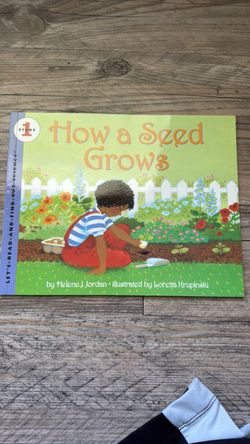 How a Seed Grows