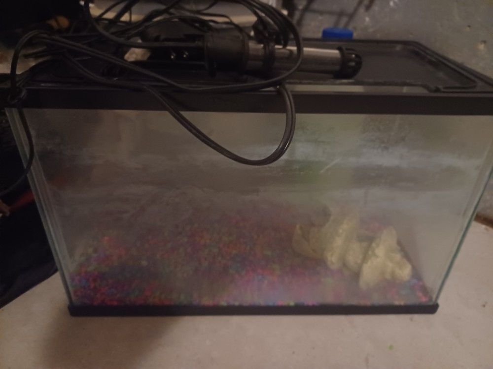 Fish Tank And Accessories