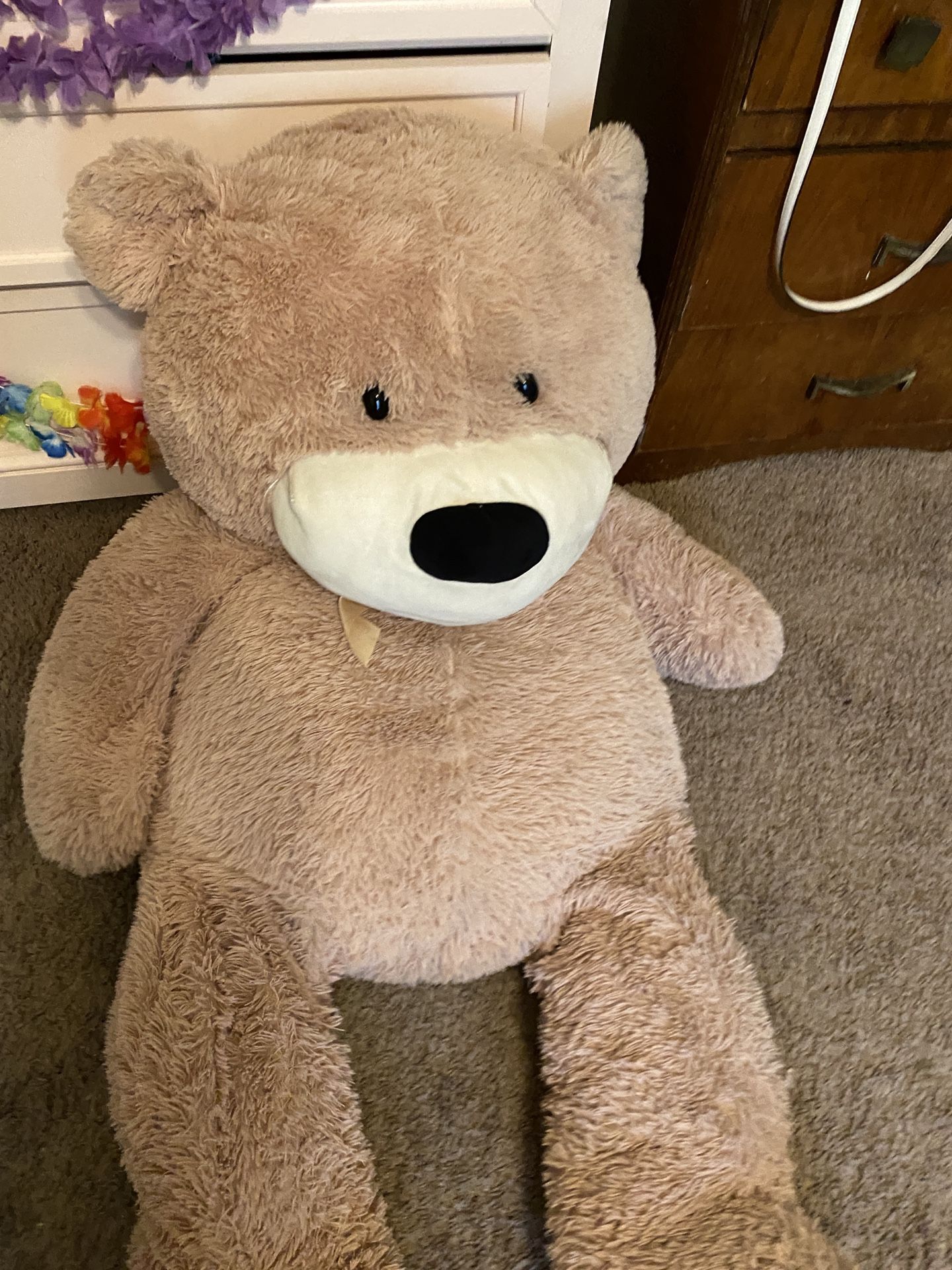 Large Teddy Bear (accepting offers)