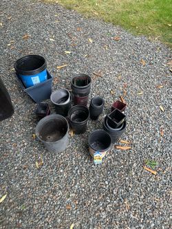 Disposable pots - free