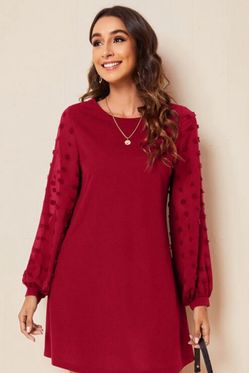 ELEGANT Swiss Dot Side Solid Dress +NEW*