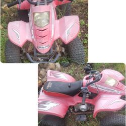 110cc Atv For Parts