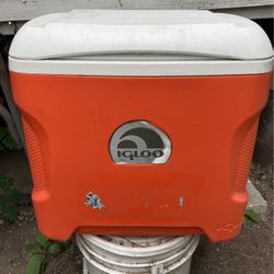 Igloo Ice Cooler