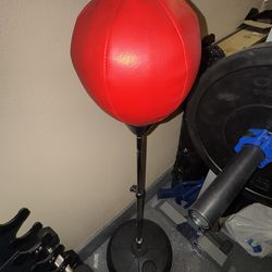 Punching Bag