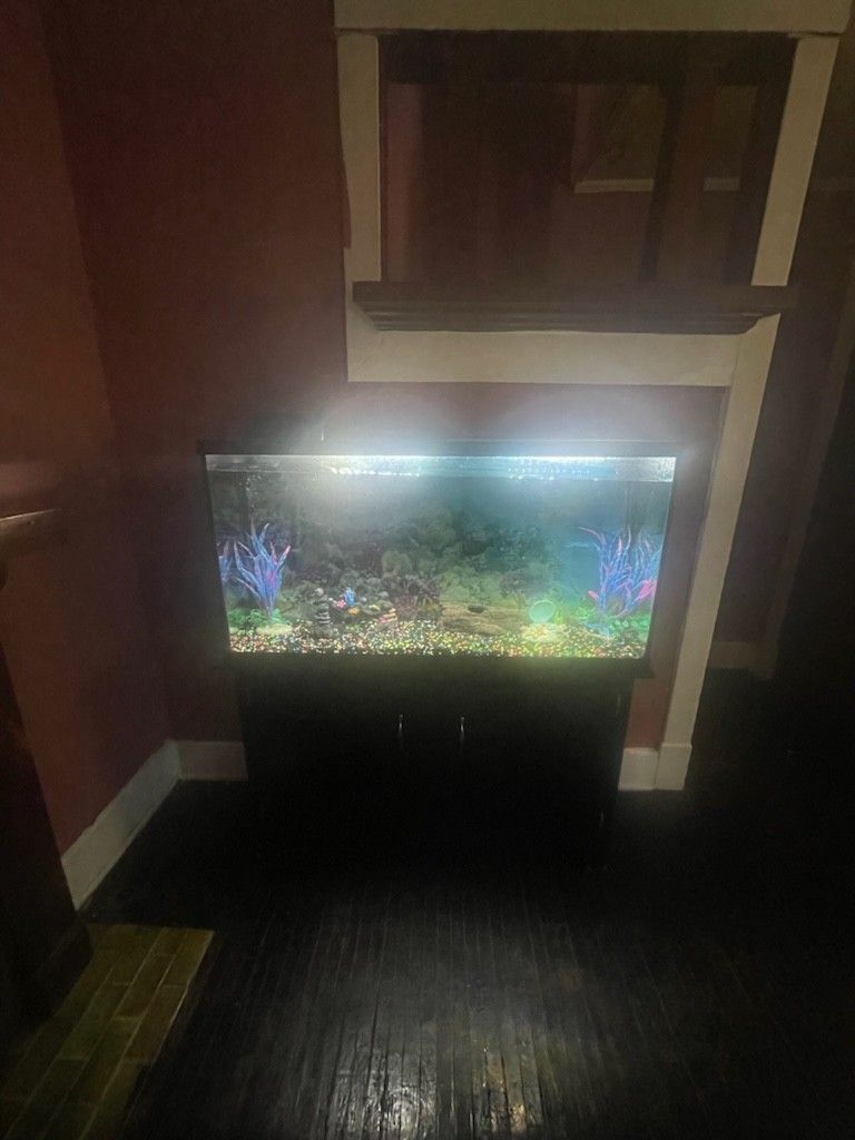 50 Gallon Fish Tank