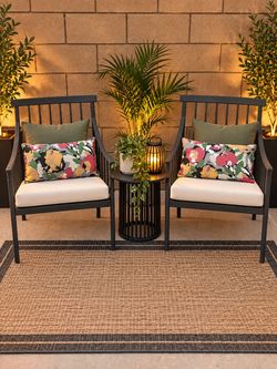 2 backyard chairs