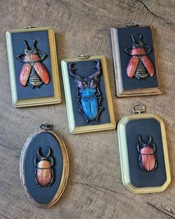 Faux Moulded Stag Beetle On Hanging Plaque