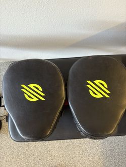 Sanabul Boxing Mitts