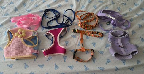 Four cat harness and leash sets