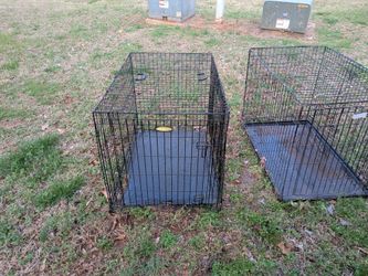 XL dog crates