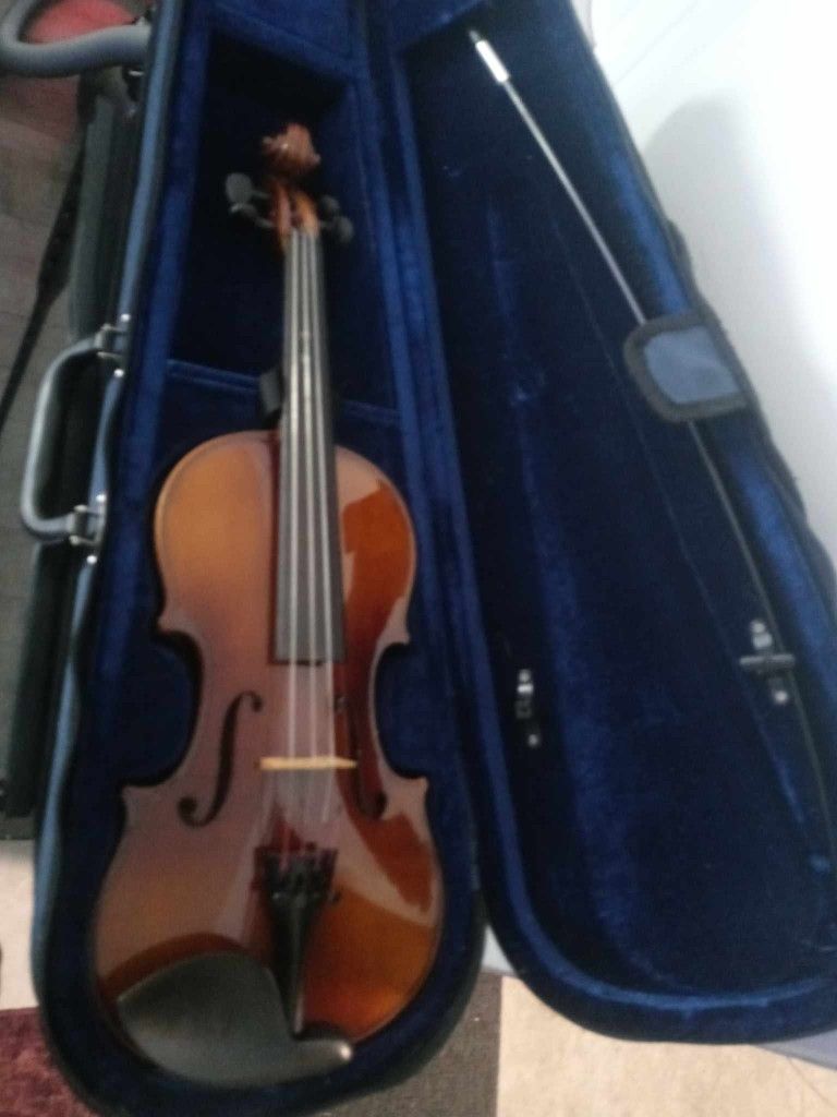 Violin with case